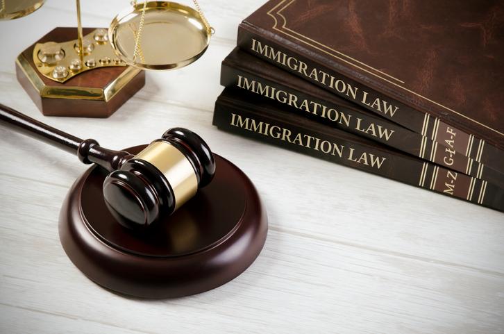 steve maggi - immigration expert -consular law firm